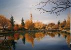 apresmidi-de-decembre-sur-le-lac-de-mauvezin32.jpg